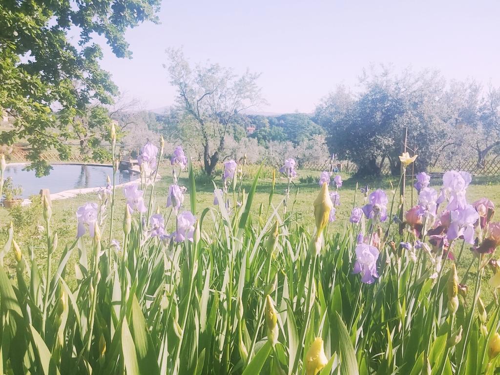 Agriturismo Il Poderino 毕博纳 外观 照片