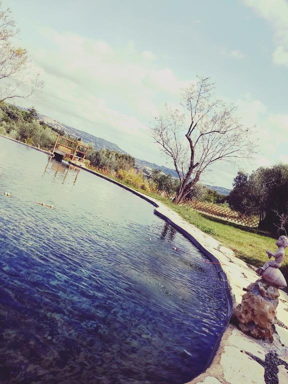 Agriturismo Il Poderino 毕博纳 外观 照片